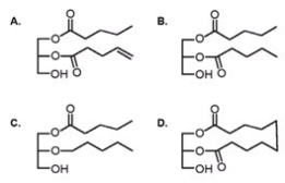 Which of the following compounds is not a hydrolyzable lipid?