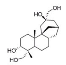 <strong>How many isoprene units are contained in the following molecule? </strong> A)5 B)4 C)3 D)2