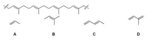 <strong>Which of the following is the monomer that gives the polymer shown below? </strong> A)A B)B C)C D)D