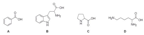 Which of the following compounds is not an amino acid?  