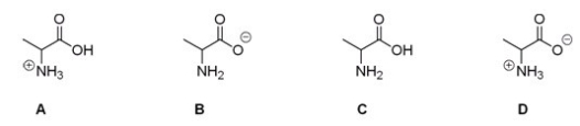 <strong>Which of the following is the correct structure for alanine at pH = 7? </strong> A)A B)B C)C D)D