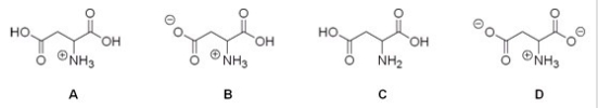 <strong>Which of the following is the correct structure for aspartic acid at pH = 1? </strong> A)A B)B C)C D)D