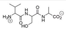 <strong>What amino acid is at the N-terminus of the following peptide? </strong> A)Valine B)Serine C)Alanine D)Proline