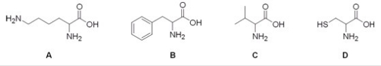 <strong>Which of the following is the structure of the amino acid lysine? </strong> A)A B)B C)C D)D