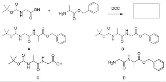 What is the major organic product for the following reaction?