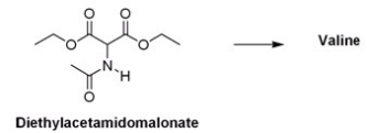 <strong>What is the appropriate sequence of reaction conditions used to synthesize valine from acetamidomalonic ester? </strong> A)(1)NaOH; (2)(CH<sub>3</sub>)<sub>2</sub>CHBr; (3)Cl<sub>2</sub>,H<sub>2</sub>O,heat B)(1)NaOCH<sub>2</sub>CH<sub>3</sub>; (2)(CH<sub>3</sub>)<sub>2</sub>CH<sub>2</sub>CHBr; (3)HCl,H<sub>2</sub>O,heat C)(1)NaOCH<sub>2</sub>CH<sub>3</sub>; (2)(CH<sub>3</sub>)<sub>2</sub>CHBr; (3)HCl,H<sub>2</sub>O,heat D)(1)NaOH; (2)CH<sub>3</sub>CH<sub>2</sub>CH<sub>2</sub>Br; (3)HCl,H<sub>2</sub>O,heat