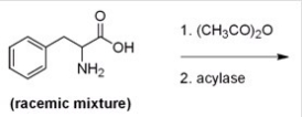 <strong>Below is a proposed method for resolving a racemic mixture of (R)- and (S)-phenylalanine.Upon separation of the products,will this method produce (R)- or (S)-phenylalanine? </strong> A)(R)-Phenylalanine is produced since the acylase only hydrolyzes the amides of L-amino acids. B)(S)-Phenylalanine is produced since the acylase only hydrolyzes the amides of L-amino acids. C)(R)-Phenylalanine is produced since the acylase only hydrolyzes the amides of D-amino acids. D)(S)-Phenylalanine is produced since the acylase only hydrolyzes the amides of D-amino acids.
