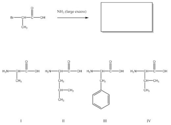 What is the product of the following reaction? (Assume workup to neutralize.)