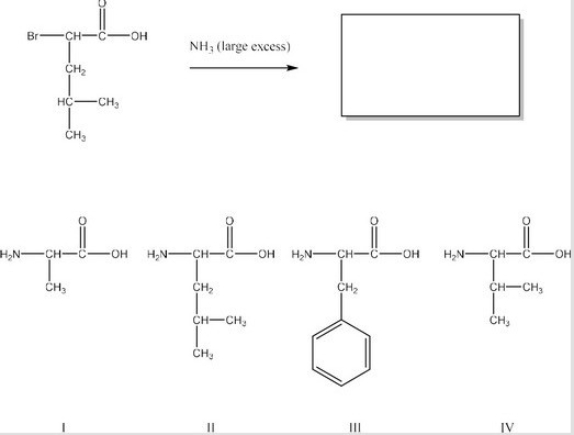 What is the product of the following reaction? (Assume workup to neutralize.)