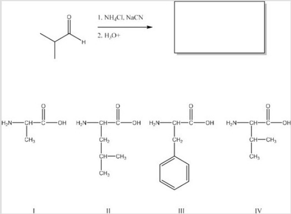 <strong>What is the product of the following reaction? (Assume workup to neutralize.) </strong> A)I B)II C)III D)IV