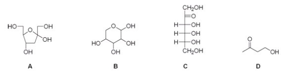 <strong>Which of the following compounds is an aldose?  </strong> A)A B)B C)C D)D <div style=padding-top: 35px> 