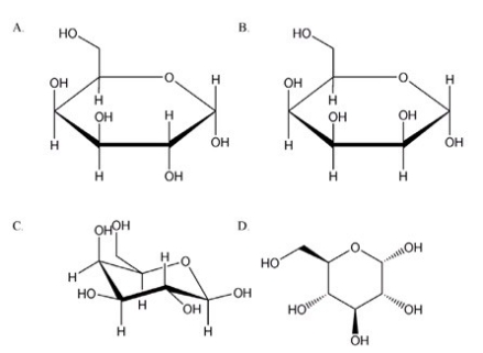 <strong>Which of the following compounds is a b anomer?  </strong> A)A B)B C)C D)D <div style=padding-top: 35px> 