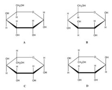Which is the correct Haworth projection for the banomer of D-glucose?