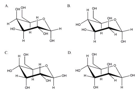 What is the correct chair form for the aanomer of D-mannose?