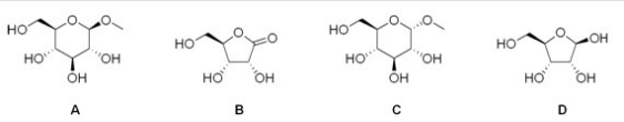 <strong>Which of the following is a reducing sugar?  </strong> A)A B)B C)C D)D <div style=padding-top: 35px> 