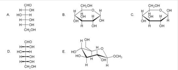 Which of the following compounds is not a valid representation for D-glucose?