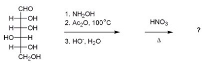 What is the best description of the product formed in the following reaction sequence?