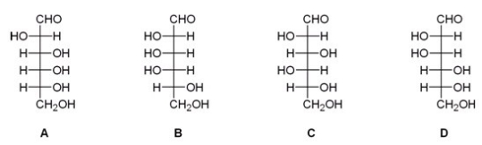 After a series of Kiliani-Fischer syntheses on D-glyceraldehyde,an unknown sugar was isolated from the reaction mixture.The following experimental data was obtained.What is the structure of this unknown sugar? Data: - Molecular formula: C<sub>6</sub>H<sub>12</sub>O<sub>6</sub> - Reacts with phenylhydrazine to give an osazone,mp 178°C. - Reacts with HNO<sub>3</sub> to give an optically active aldaric acid. - Wohl degradation followed by HNO<sub>3</sub> oxidation gives an optically inactive Aldaric acid. - Two Wohl degradations followed by HNO<sub>3</sub> oxidation give a meso-tartaric acid.
