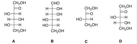 Which of the following sugars can be classified as an aldohexose?