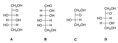 Which of the following sugars can be classified as a ketopentose?