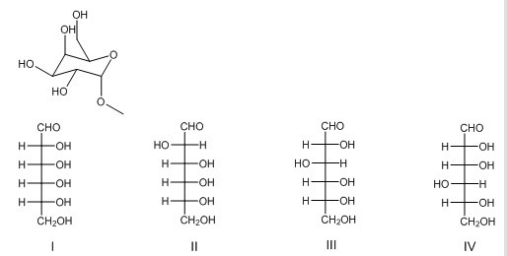 What is the Fischer projection of the monosaccharide from which the following glycoside was prepared?
