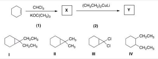 <strong>Identify the structure of the organic product Y formed in the following reaction sequence. </strong> A)I B)II C)III D)IV