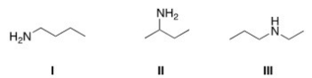 <strong>Which of the following amines are classified as secondary (2°)amines? </strong> A)I B)II C)III D)I and II