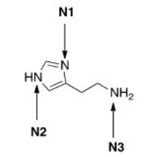 <strong>Histamine,a vasodilator,is responsible for a wide variety of physiological effects.Rank the three nitrogen atoms in histamine in increasing order of basicity,putting least basic nitrogen atom first. </strong> A)N2 < N1 < N3 B)N1 < N2 < N3 C)N3 < N1 < N2 D)N3 < N2 < N1