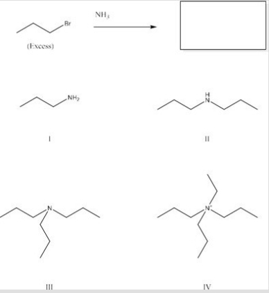 What is the major product of the following reaction?  