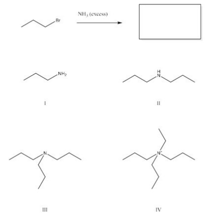 What is the major product of the following reaction?  