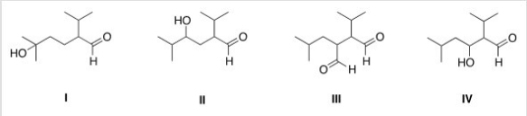 What is the Aldol addition product formed from the reaction of (CH<sub>3</sub>)<sub>2</sub>CHCH<sub>2</sub>CHO with itself?