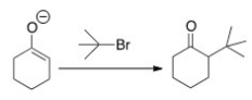 <strong>Why can't you prepare 2-tert-butylcyclohexanone by the following reaction? </strong> A)Because tert-butyl bromide is too basic. B)Because tert-butyl bromide cannot undergo an S<sub>N</sub>2 reaction. C)Because tert-butyl bromide is a nucleophile. D)Because tert-butyl bromide is not a stable compound.