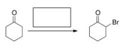 <strong>What is the missing reagent for the following reaction? </strong> A)Br<sub>2</sub>/HOAc B)Br<sub>2</sub>/KOH C)Cl<sub>2</sub>/FeCl<sub>3</sub> D)Br<sub>2</sub>/FeBr<sub>3</sub>
