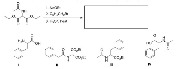 <strong>The malonic ester synthesis can be adapted to synthesize a-amino acids by using diethyl acetamidomalonate as the starting material.Select the structure of the amino acid produced by the following synthesis. </strong> A)I B)II C)III D)IV