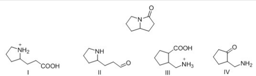 <strong>What is the product formed by hydrolysis of the following lactone with acid? </strong> A)I B)II C)III D)IV
