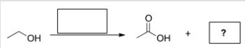 <strong>What is the other product formed in the oxidation of the following terminal alkyne? </strong> A)HCOOH B)HCOH C)CO<sub>2</sub> D)CO
