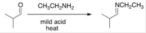 <strong>What needs to be done to make the following reaction go to starting materials? </strong> A)Heat the reaction. B)Add aqueous acid. C)Add aqueous base. D)Add water.