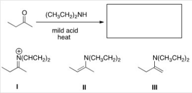 What is (are)the product(s)of the following reaction?  