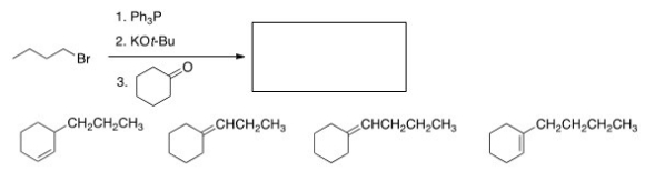 What is the product of the following reaction?  