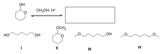 What is the product of the following reaction?  