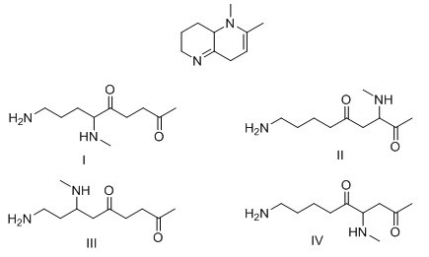 <strong>What product is formed when the following compound is hydrolyzed with aqueous acid? </strong> A)I B)II C)III D)IV