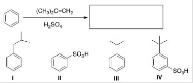 What is the major organic product obtained from the following reaction?