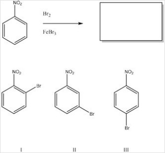 What is the product of the following monobromonation reaction?