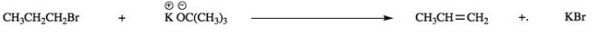<strong>Consider the following E2 reaction.What rate equation would be observed for this reaction?  </strong> A)Rate = k[CH<sub>3</sub>CH<sub>2</sub>CH<sub>2</sub>Br] B)Rate = k[CH<sub>3</sub>CH<sub>2</sub>CH<sub>2</sub>Br][KOC(CH<sub>3</sub>)<sub>3</sub>] C)Rate = k[CH<sub>3</sub>CH<sub>2</sub>CH<sub>2</sub>Br][KOC(CH<sub>3</sub>)<sub>3</sub>]<sup>2</sup> D)Rate = k[CH<sub>3</sub>CH<sub>2</sub>CH<sub>2</sub>Br]<sup>2</sup>[KOC(CH<sub>3</sub>)<sub>3</sub>] <div style=padding-top: 35px> 