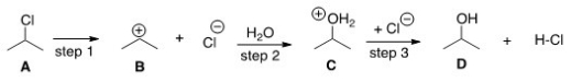 <strong>The equilibrium constant for the conversion of A to D is predicted to be which of the following? </strong> A)K<sub>eq</sub> = 1 B)K<sub>eq</sub> < 1 C)K<sub>eq</sub> > 1 D)Cannot be determined from the information provided