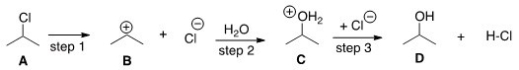 <strong>The DG° (free energy change)for the conversion of A to B is predicted to be which of the following? </strong> A)DG° = 0 B)DG° < 0 C)DG° > 0 D)Cannot be determined from the information provided