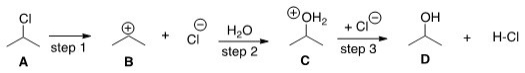 <strong>If the conversion of A to B is slow and B to C is fast,what is the rate equation for this reaction?  </strong> A)Rate = k[(CH<sub>3</sub>)<sub>2</sub>CHCl][H<sub>2</sub>O] B)Rate = k[(CH<sub>3</sub>)<sub>2</sub>CHCl] C)Rate = k[(CH<sub>3</sub>)<sub>2</sub>CH]<sup>+</sup>[H<sub>2</sub>O] D)Rate = k[(CH<sub>3</sub>)<sub>2</sub>CH]<sup>+</sup> <div style=padding-top: 35px> 