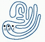 <strong>Let X be a point obviously outside the figure. Draw . How many times does it cross the curve? </strong> A) it will cross the curve an odd number of times B) it will cross the curve an even number of times