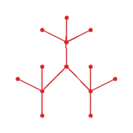 <strong>Draw graph for the molecule. Isobutane </strong> A) B) C) D) E)
