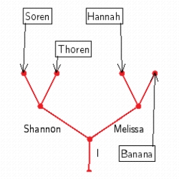 <strong>Use a tree to show the following family tree. You have two children, Shannon and Melissa. Shannon has two children, Soren and Thoren. Melissa has three children, Hannah, Banana, and Mike.</strong> A) B) C) D) E)